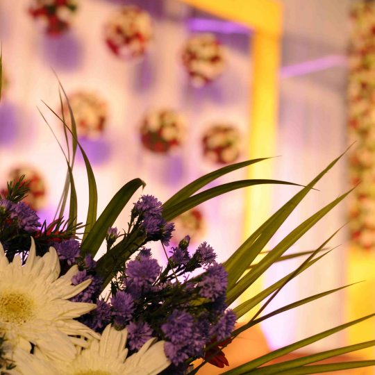 https://weddingdc.net/wp-content/uploads/2015/09/34888cam-2-1139-540x540.jpg