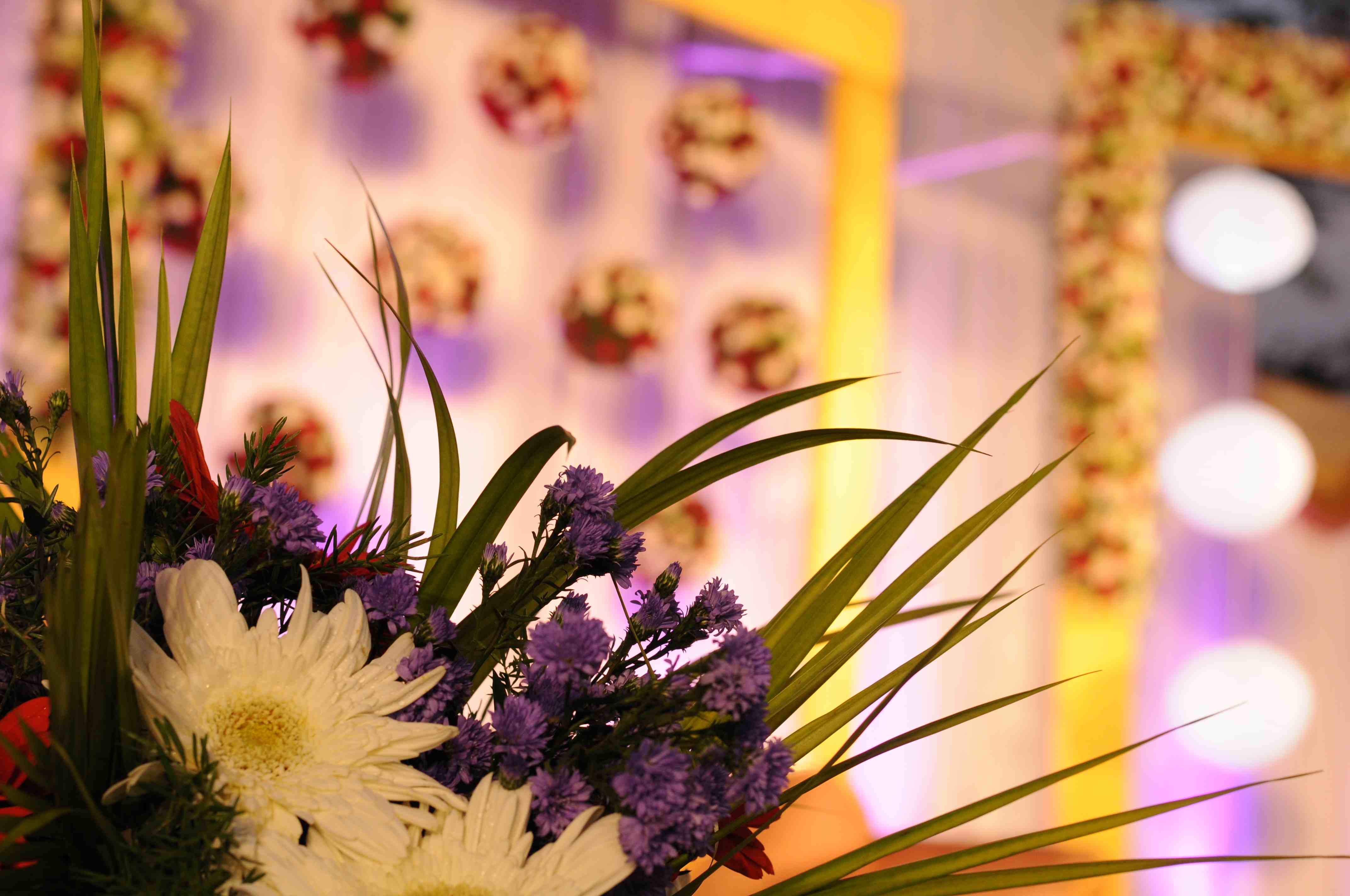 https://weddingdc.net/wp-content/uploads/2015/09/34888cam-2-1139.jpg
