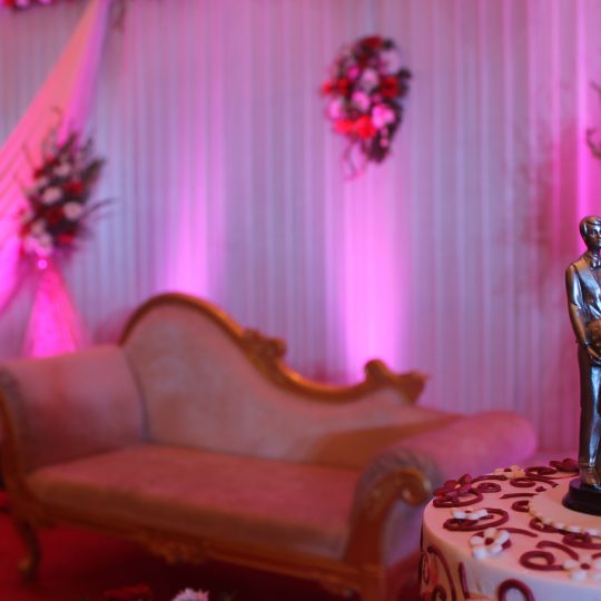 https://weddingdc.net/wp-content/uploads/2018/03/2447IMG_5359-540x540.jpg