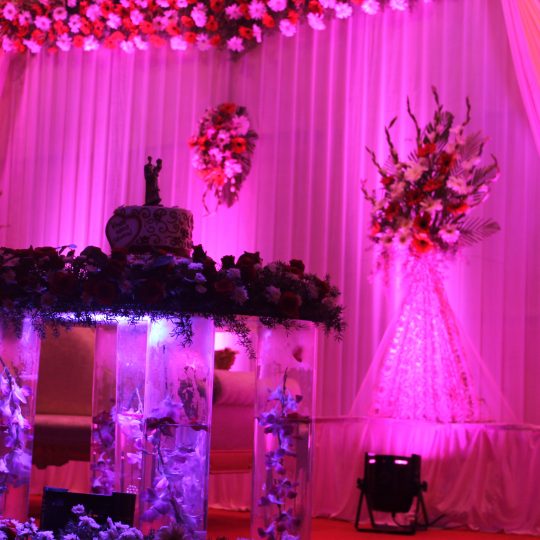 https://weddingdc.net/wp-content/uploads/2018/03/31903IMG_5305-540x540.jpg