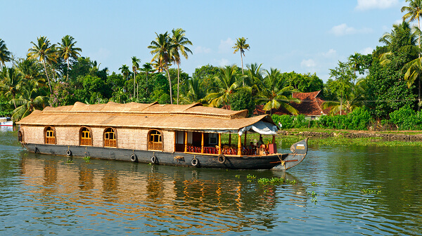 https://weddingdc.net/wp-content/uploads/2026/07/kochi.jpg